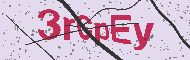 Ungültiger Sicherheitscode